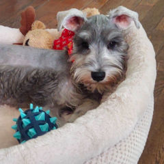 Testimonial-Gabriela